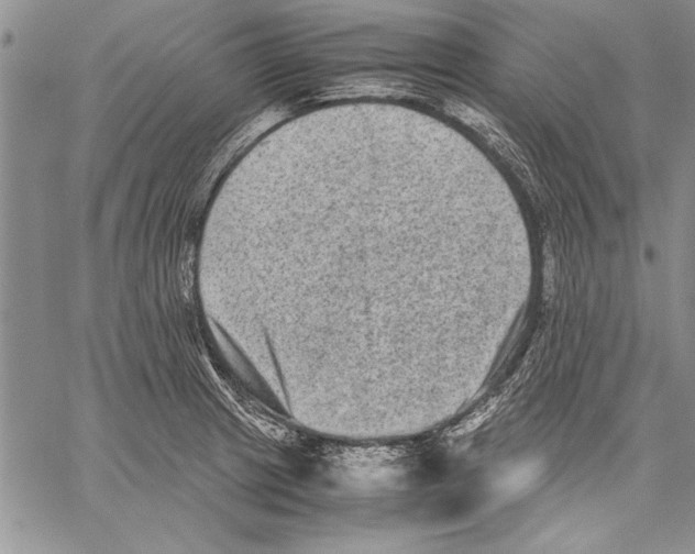 X0000060551233200512011608