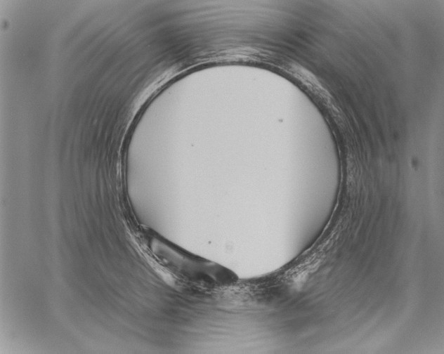 X0000060551234200512011608