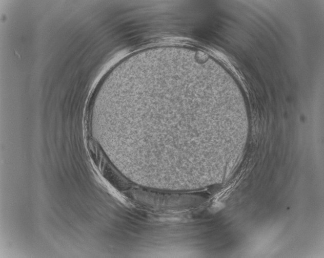 X0000060551235200512011608