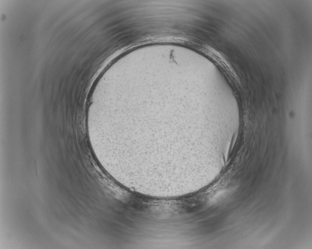 X0000060551236200512011608