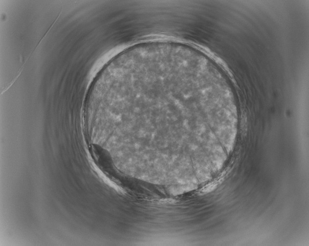 X0000060551239200512011608