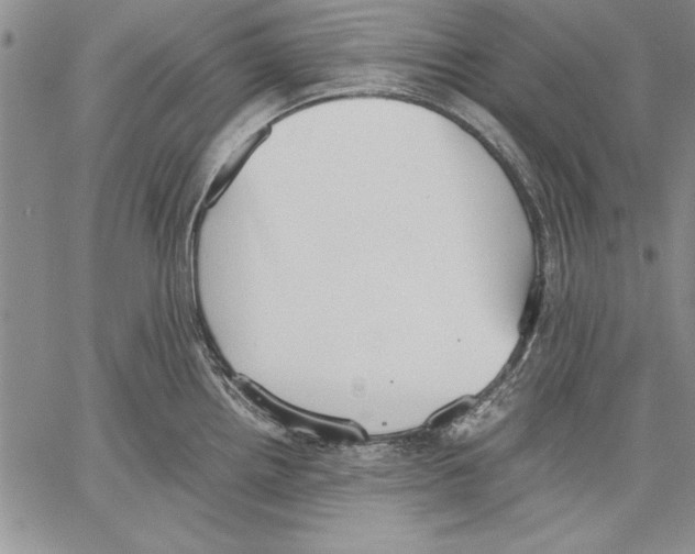 X0000060551242200512011608