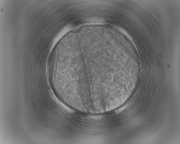 X0000060551243200512011608