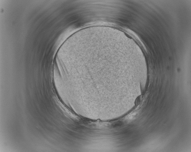 X0000060551244200512011608