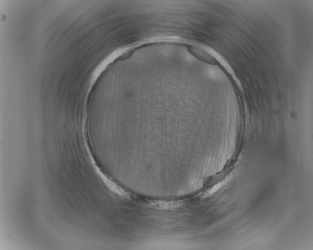 X0000060551245200512011608