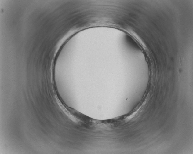 X0000060551246200512011608