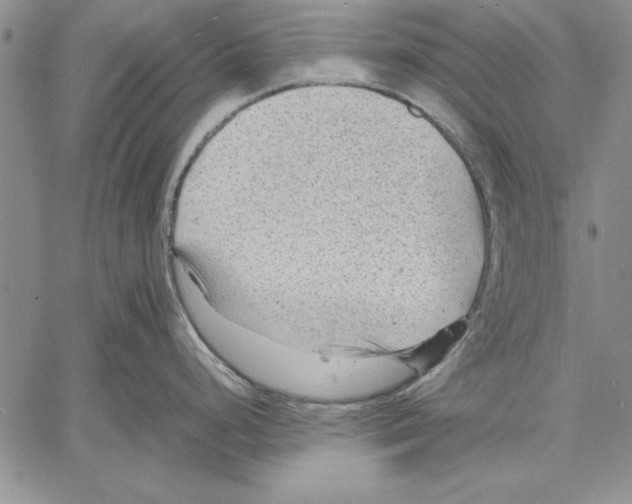 X0000060551248200512011608