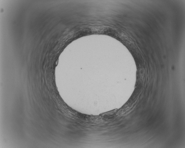 X0000060551249200512011607