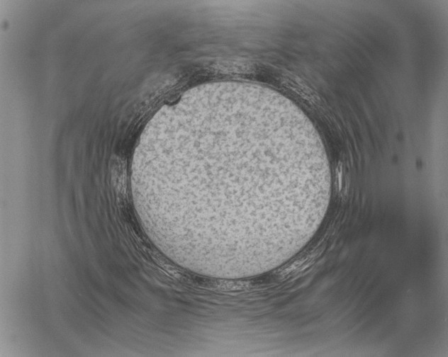 X0000060551251200512011607