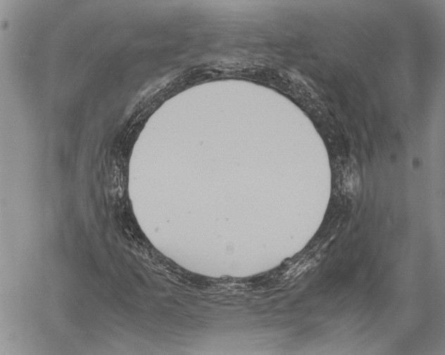 X0000060551253200512011607