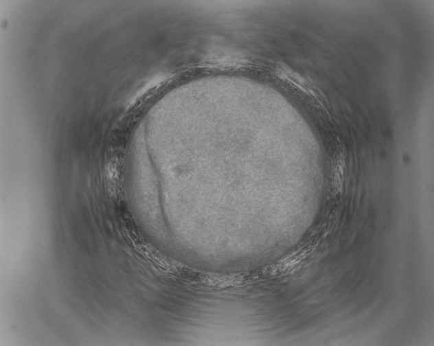 X0000060551254200512011607