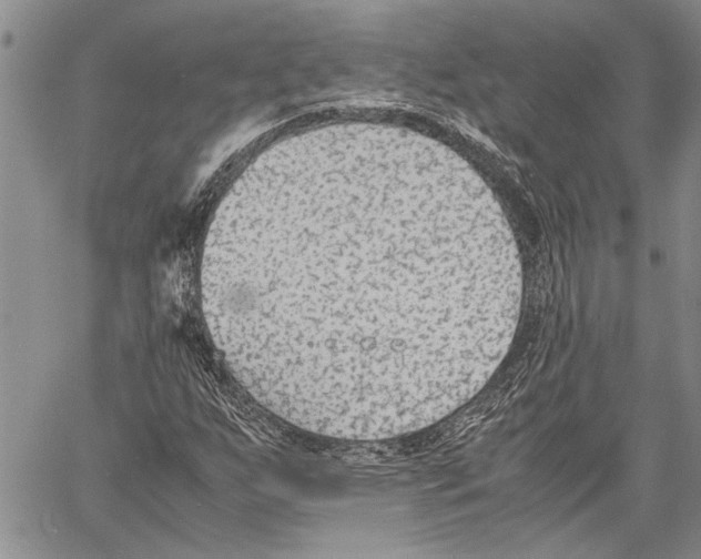 X0000060551255200512011607