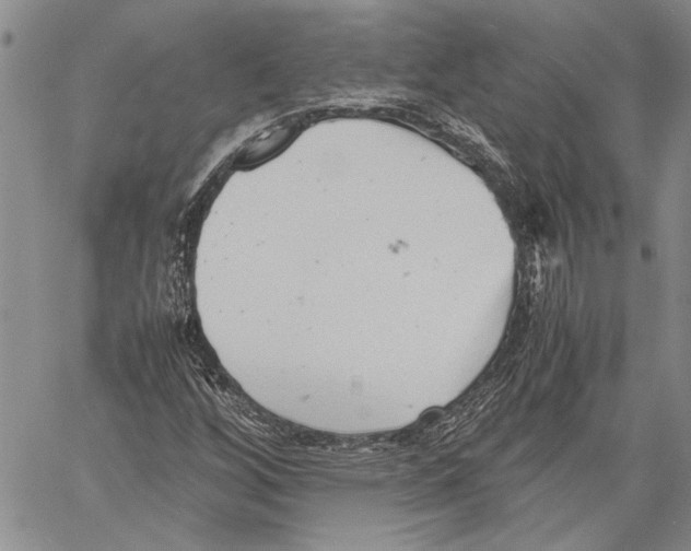 X0000060551256200512011607