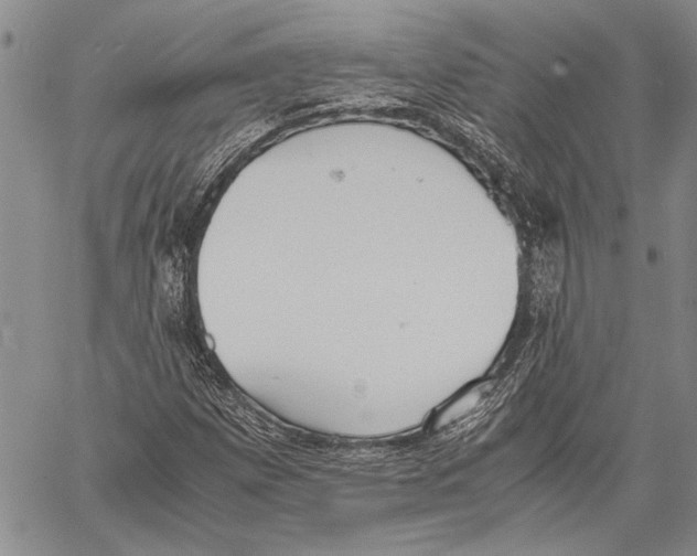 X0000060551257200512011607