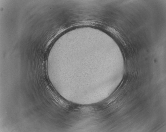 X0000060551260200512011607