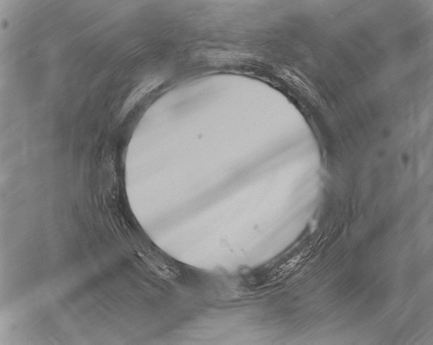 X0000060551261200512011607