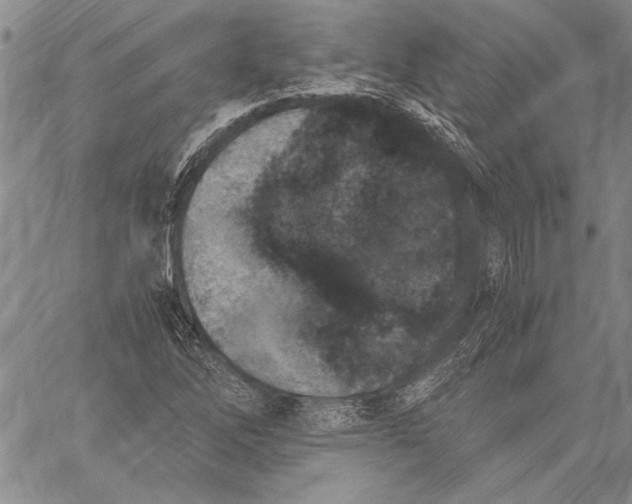 X0000060551262200512011607