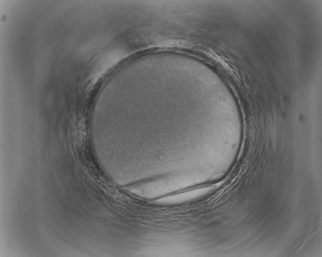 X0000060551263200512011607