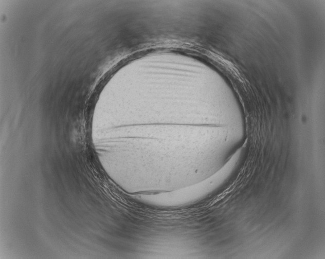 X0000060551264200512011607