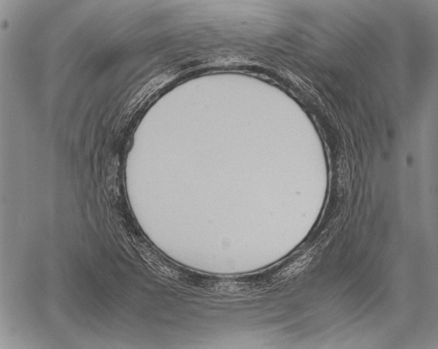 X0000060551265200512011607