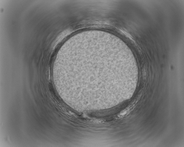 X0000060551267200512011607