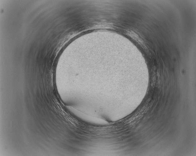 X0000060551268200512011607