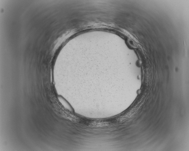 X0000060551269200512011607