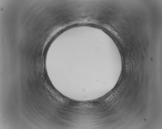 X0000060551270200512011607