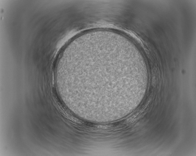 X0000060551271200512011607