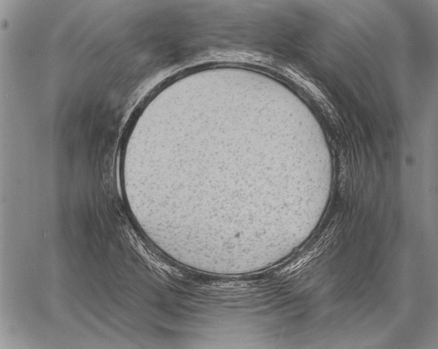 X0000060551272200512011607