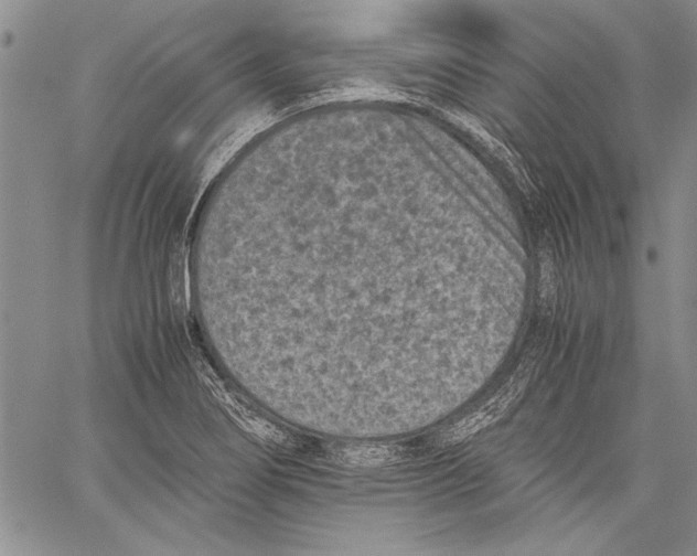 X0000060551274200512011607