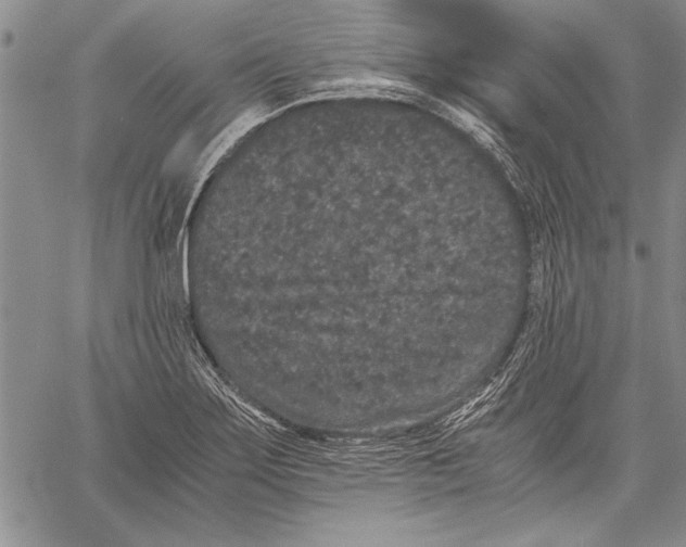 X0000060551275200512011607