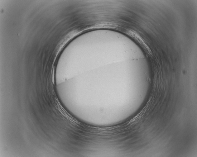 X0000060551276200512011607