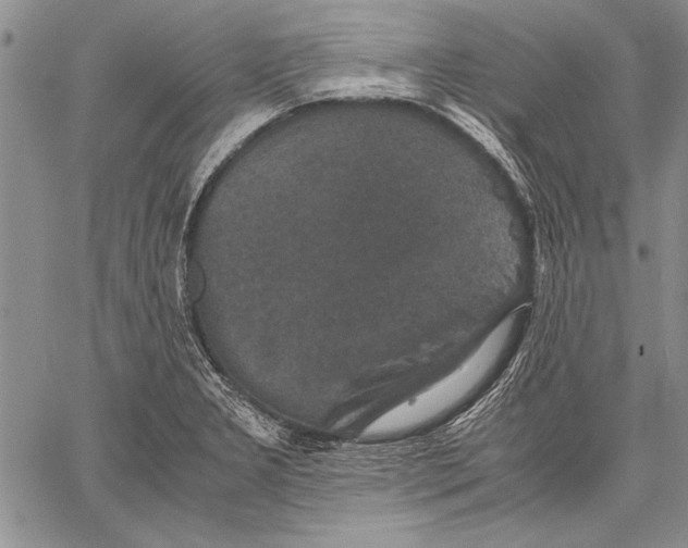 X0000060551277200512011607