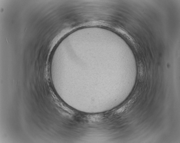 X0000060551278200512011607