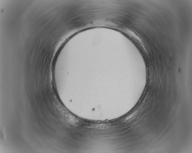 X0000060551280200512011607