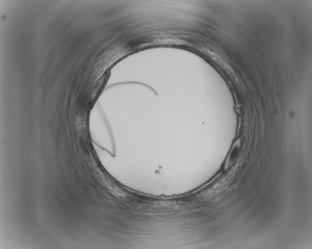 X0000060551281200512011607