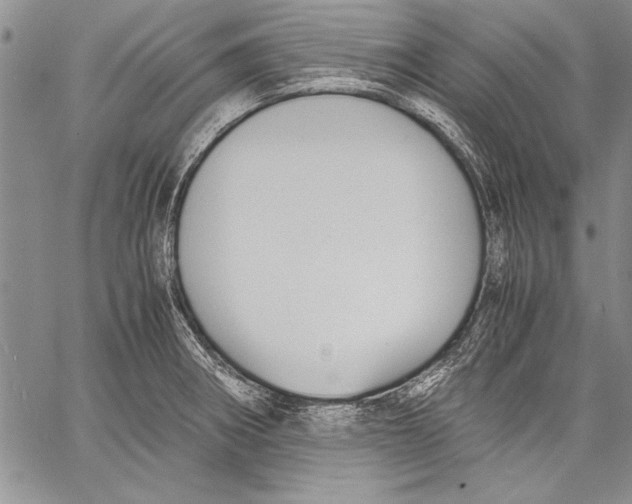 X0000060551282200512011607