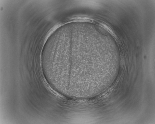 X0000060551283200512011607