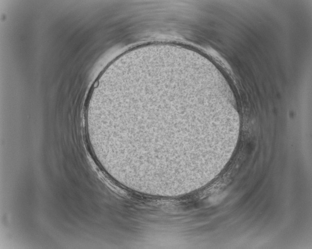 X0000060551287200512011607