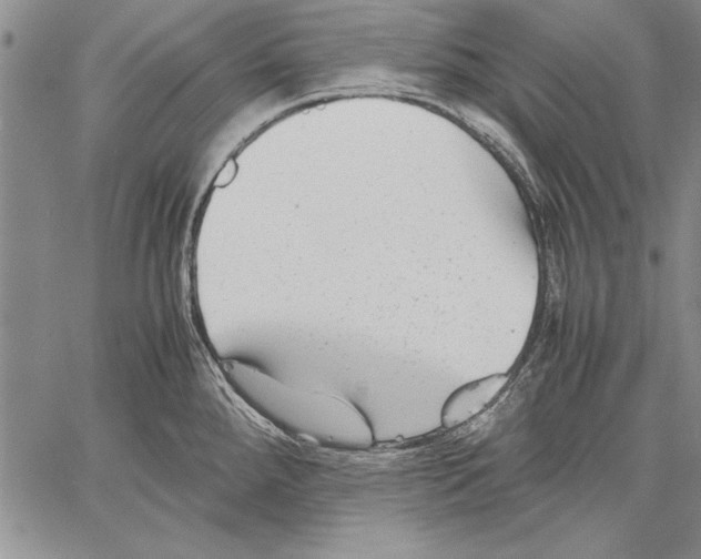 X0000060551288200512011607