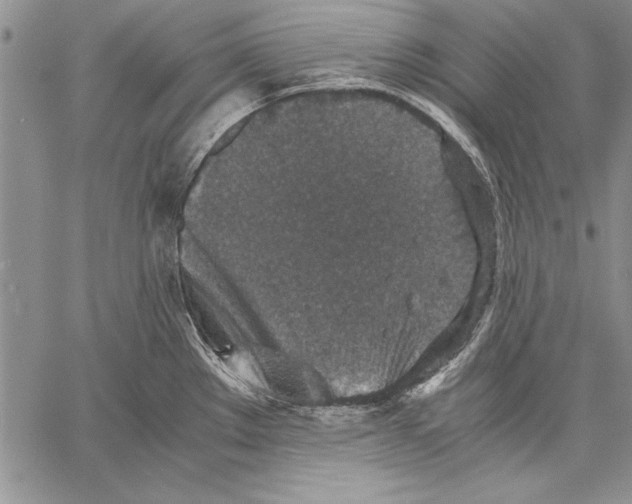 X0000060551289200512011607