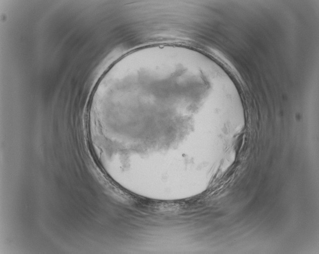 X0000060551291200512011607