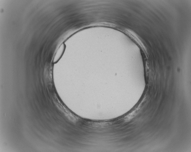 X0000060551292200512011607