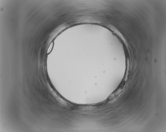 X0000060551293200512011607