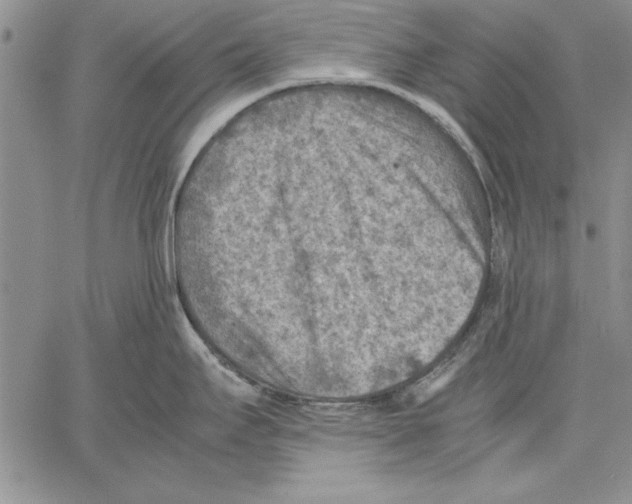 X0000060551295200512011606