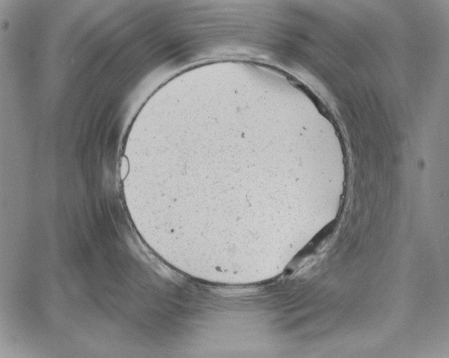 X0000060551296200512011606