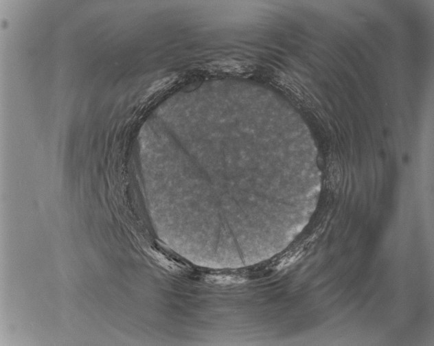 X0000060551297200512011606