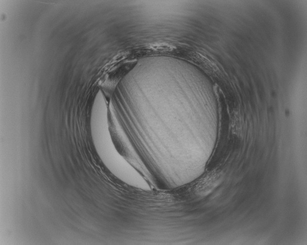 X0000060551298200512011606