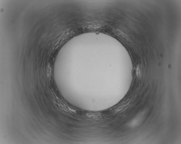 X0000060551299200512011606